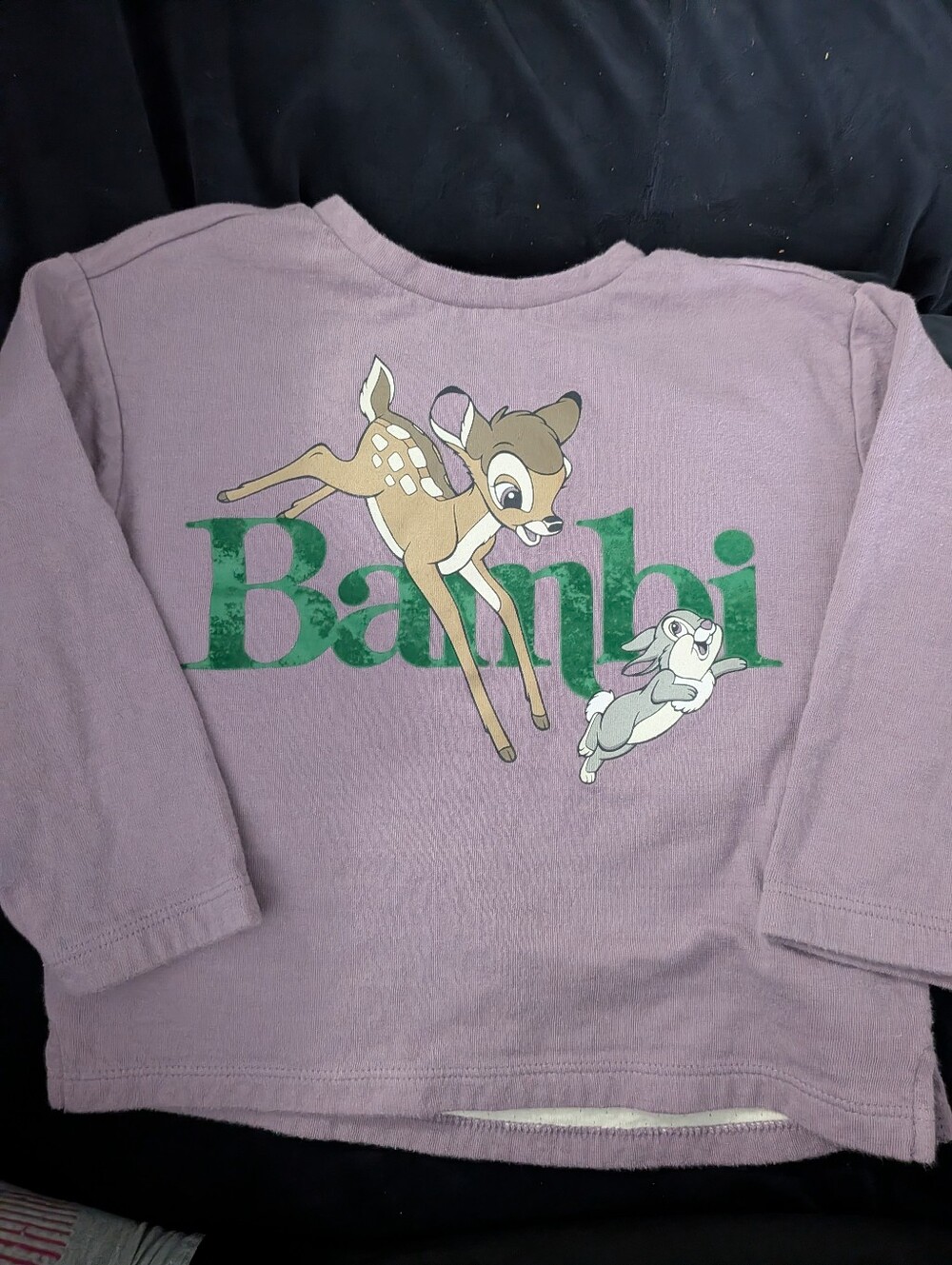 Bambi & Thumper Long-Sleeve Sweat Tee, Special Edition Collab Disney X baby Gap